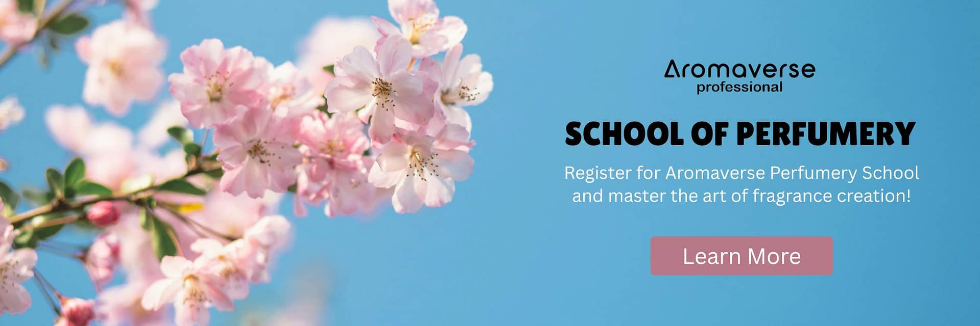 Perfumery School Course Online | Explore The World Of Perfumery with Aromaverse | Aromaverse