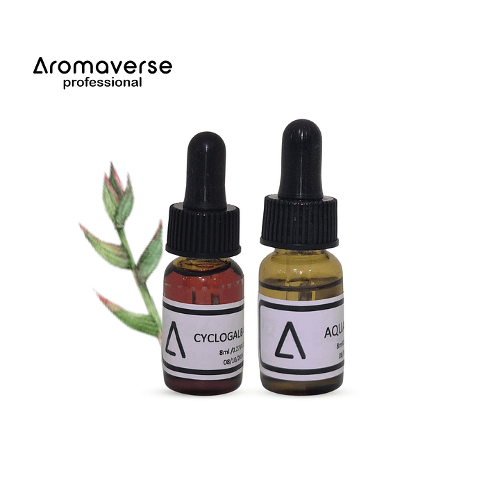 ALPHA PINENE | Explore The World Of Perfumery with Aromaverse | Aromaverse