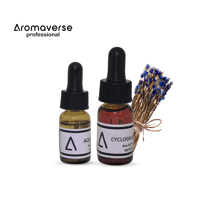 BORNEOL | Explore The World Of Perfumery with Aromaverse | Aromaverse