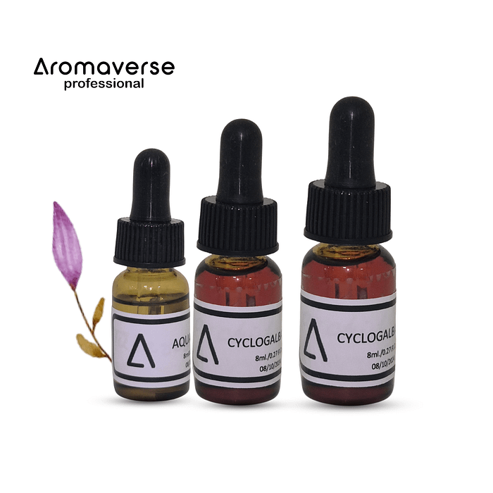LIFFAVERT | Explore The World Of Perfumery with Aromaverse | Aromaverse