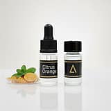 CITURS ORANGE accord perfume base – pre blended aromatic base for DIY perfume custom fragrance and perfume making | Complete Perfume Accord Library | Aromaverse Citrus Orange