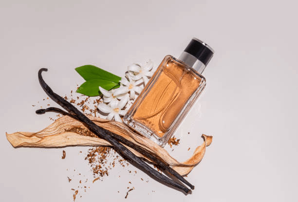 A Deep Dive into Chypre Olfactive Notes The Architecture of Elegance Series Olfactive Family Chypre